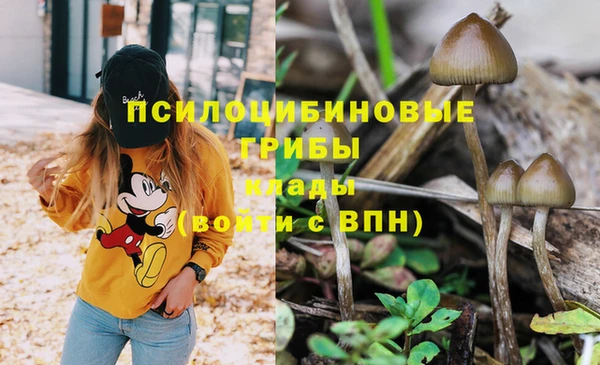MESCALINE Алексеевка