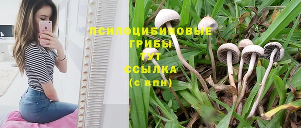 jwh Алзамай