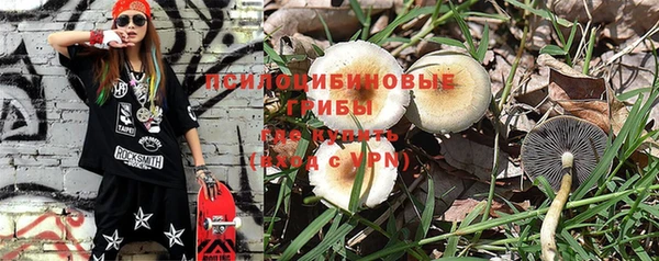 jwh Алзамай